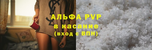 гидра Няндома