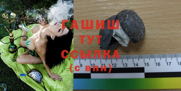 гидра Няндома