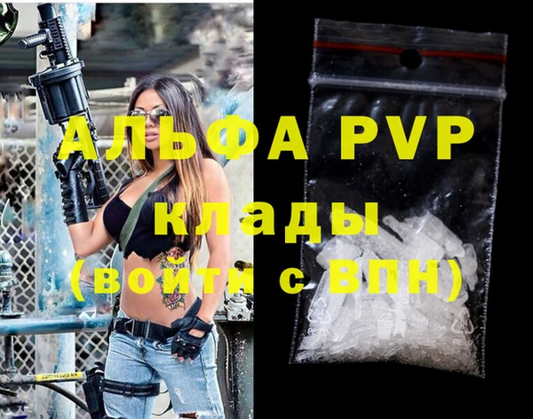 гидра Няндома