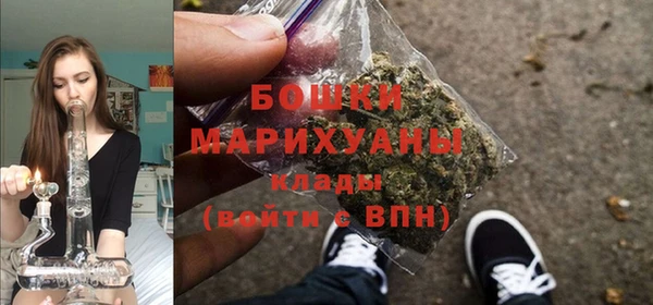 спиды Кострома