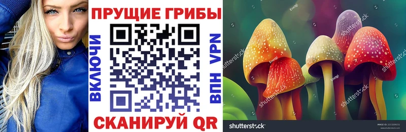 Галлюциногенные грибы Cubensis Мышкин
